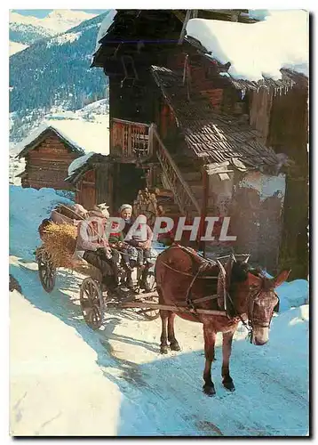 Cartes postales moderne Remuage valaisan Suisse