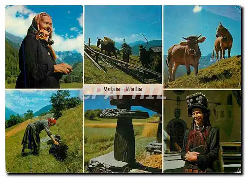 Cartes postales moderne Valais Wallis