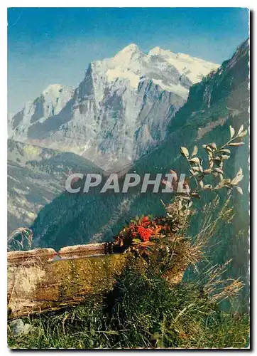 Cartes postales moderne Wetterhorn