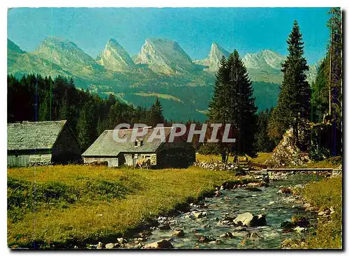 Cartes postales moderne Im Obertoggenburg Aelpli mit Churfirsten