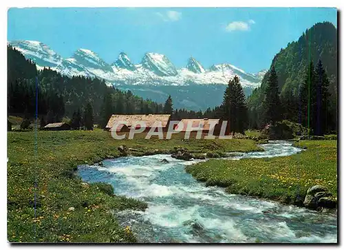 Cartes postales moderne Im Obertoggenburg Aelpli mit Churfirsten