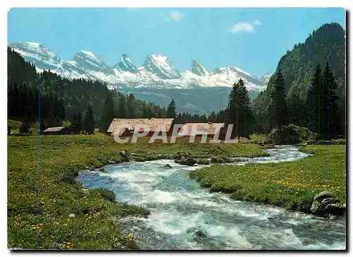 Cartes postales moderne Im Obertoggenburg Aelpli mit Churfirsten