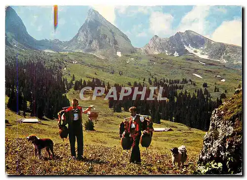 Cartes postales moderne Im Obertoggenburg