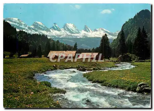 Cartes postales moderne Im Obertoggenburg Aelpli mit Churfirsten