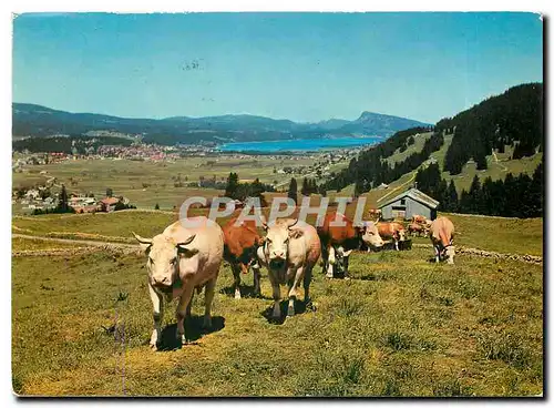 Moderne Karte A la Vallee de Joux