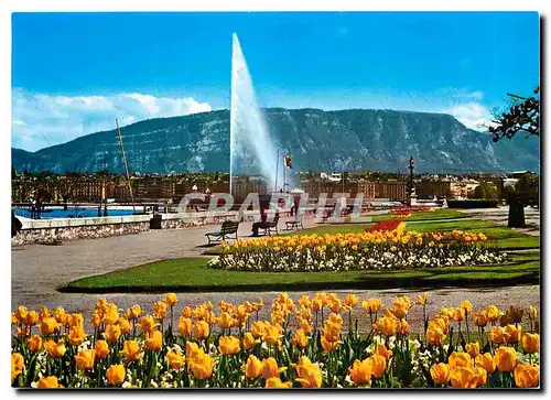 Cartes postales moderne Geneve Quai Wilson et le Jet d'eau