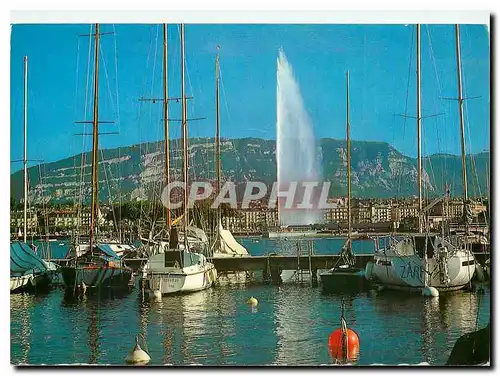 Cartes postales moderne Geneve Port de plaisance et Le Jet d'Eau