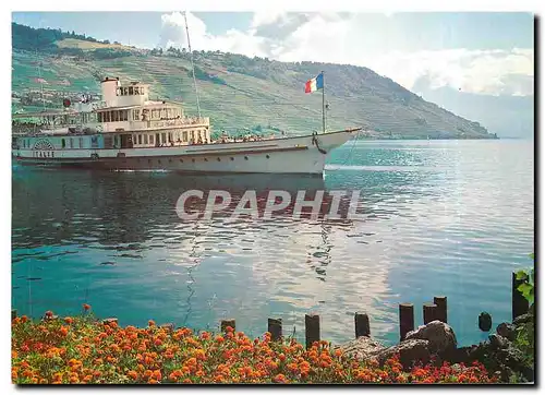 Moderne Karte Lac Leman Schon ist's zum und auf dem Genfersee zu fahren