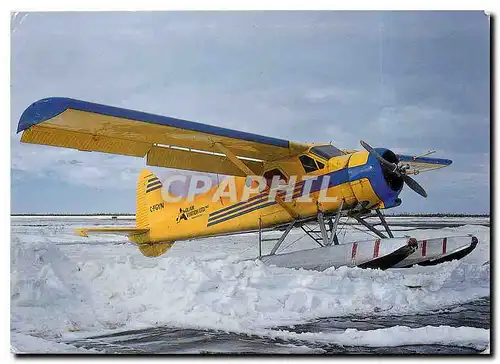 Cartes postales moderne De Havilland DHC 2 Beaver