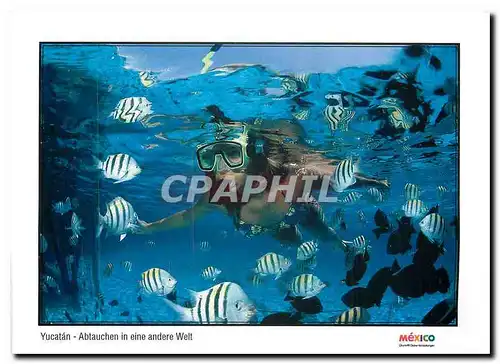 Cartes postales moderne Yucatan Abtauchen in eine andere Welt