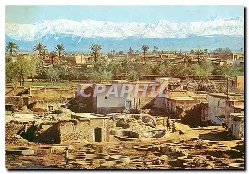 Cartes postales moderne Marrakech Quartier des Tanneurs Im Gerberviertel Tannerys