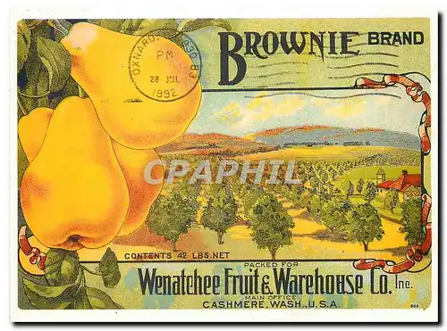 Cartes postales moderne Brownie Brand Wenatehee Fruit & Warehouse Co Inc Main Office Cashmere Wash USA