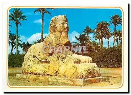 Cartes postales moderne Egypt Giza The Sphinx of Sakkara