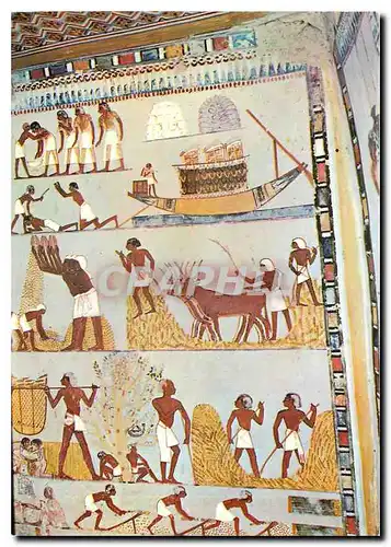 Cartes postales moderne Louxor Tombes des Nobles Peintures murales dans la tombe de Menna