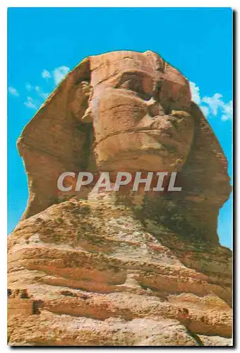 Cartes postales moderne Giza The Sphinx