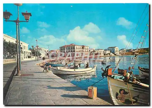 Cartes postales moderne Tenos Au rivage