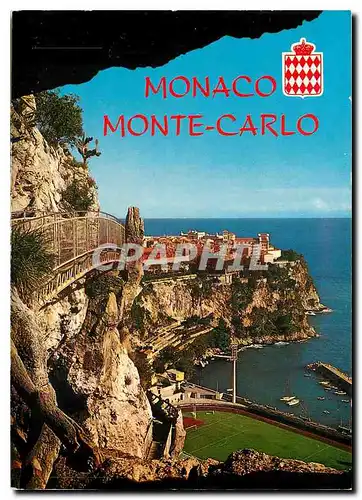 Cartes postales Monaco Monte Carlo Principaute de Monaco Le Rocher et le Stade Louis II vue prise du Jardin Exot