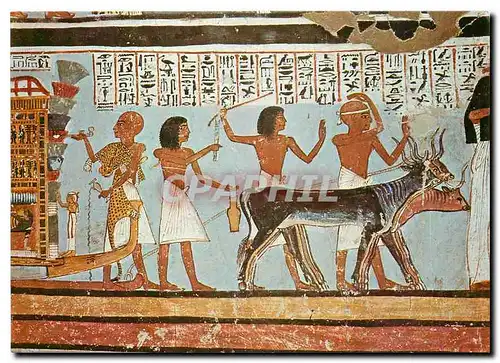 Moderne Karte Valley of the Kings Wall paintings showing religious ceremonies