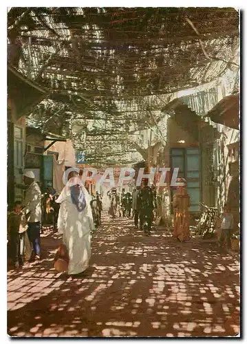 Cartes postales moderne Marrakech Dans les souks