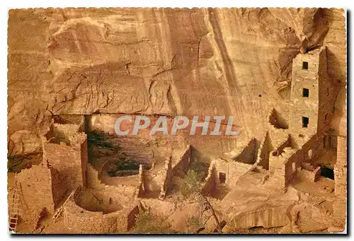 Cartes postales moderne Square Tower Ruin Mesa Verde National Park