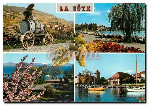 Cartes postales moderne A La Cote Le Vigneron Rolle Nyon Morges