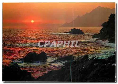 Cartes postales moderne La Mediterranee Coucher de Soleil