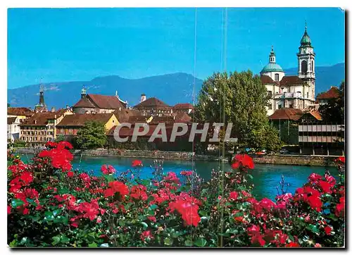 Cartes postales moderne Solothurn Partie an der Aare mit St Ursen Kathedrale