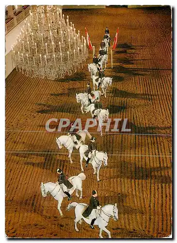Cartes postales moderne Wien Spanische Reitschute