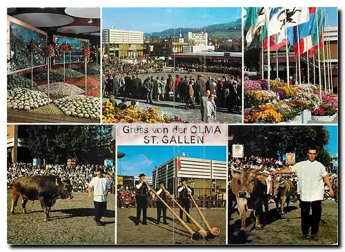 Cartes postales Gruss von der Olma St Gallen