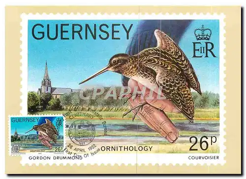 Cartes postales Guernsey Ornithology