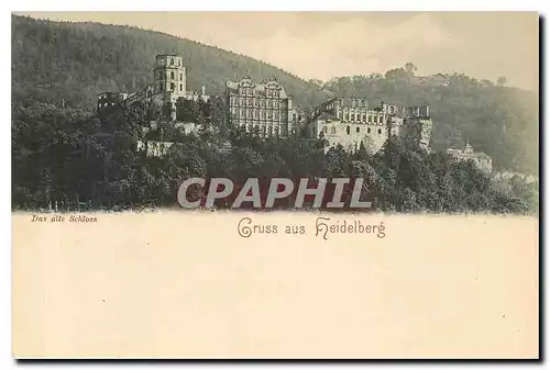 Ansichtskarte AK Gruss aus Heidelberg Das alte Schloss