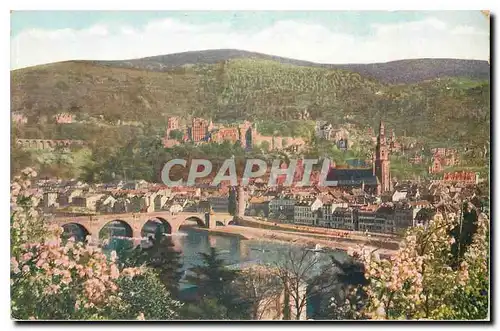 Cartes postales Heidelberg vom Philosophenweg gesehen im Fruhling