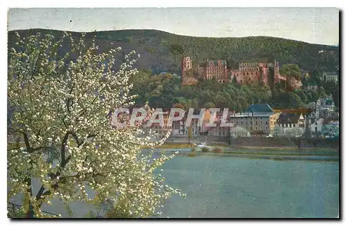 Cartes postales Heidelberg Das Schloss von der Ziegelhauser Landstrasse gesehen