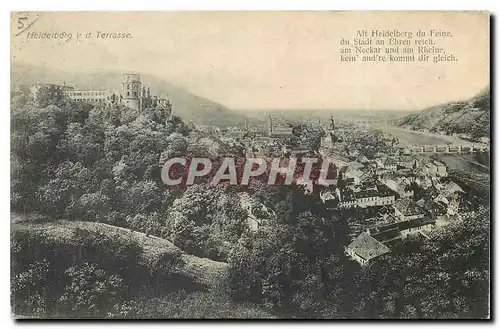 Ansichtskarte AK Heidelberg vd Terrasse