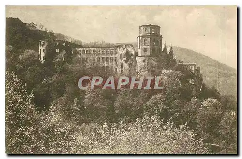 Cartes postales Das Heidelberger Schloss