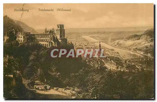 Cartes postales Heidelberg Totalansicht Willmann