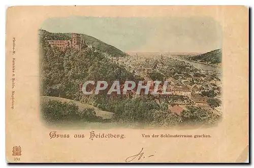 Ansichtskarte AK Gruss aus Heidelberg Von der Schlossterrasse gesehen  (precurseur)