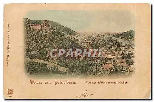 Cartes postales Gruss aus Heidelberg Von der Schlossterrasse gesehen  (precurseur)