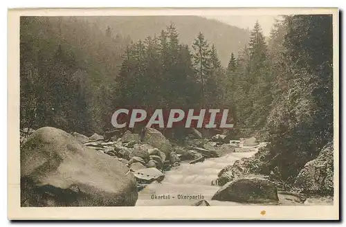 Cartes postales Okertal Okerpartie