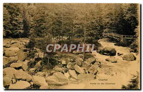 Cartes postales Okertal Partie an der Okerinsel