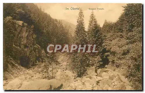 Cartes postales Im Okertal Grosser Frosch