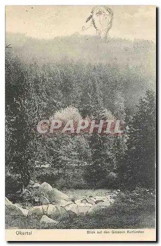 Ansichtskarte AK Okertal Blick auf den Grossen Kurfursten