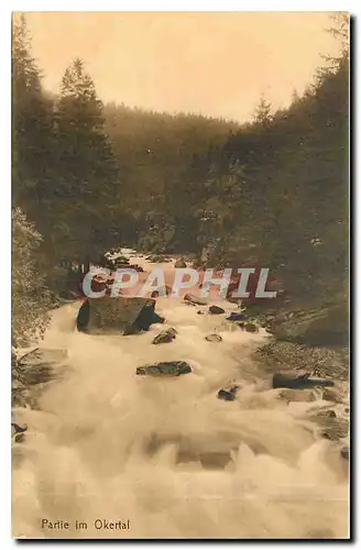 Cartes postales Partie Im Okertal