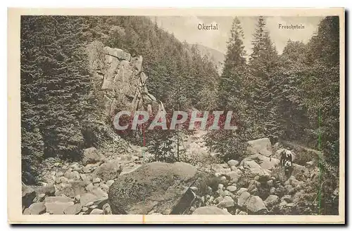 Cartes postales Okertal Froschstein