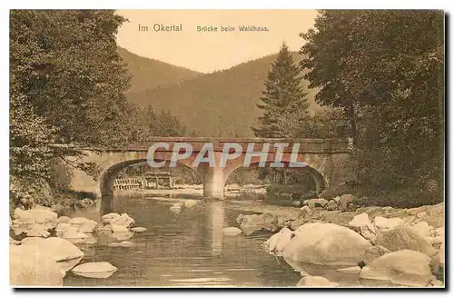 Ansichtskarte AK Im Okertal Brucke beim Waldhaus