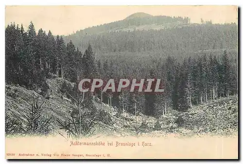 Cartes postales Achtermannshone bei Braunlage Harz