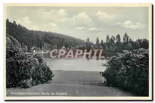 Ansichtskarte AK Braunlage Oberharz Partie im Kurpark