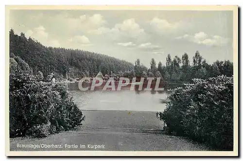 Cartes postales Braunlage Oberharz Partie im Kurpark