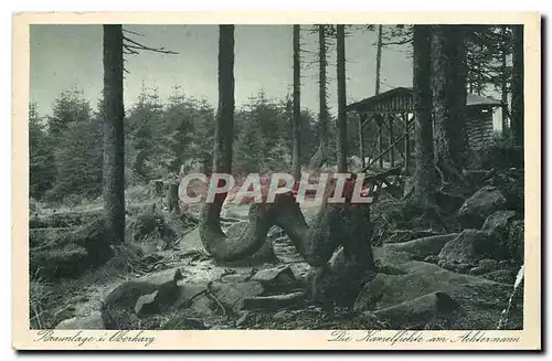 Cartes postales moderne Braunlage Oberharz