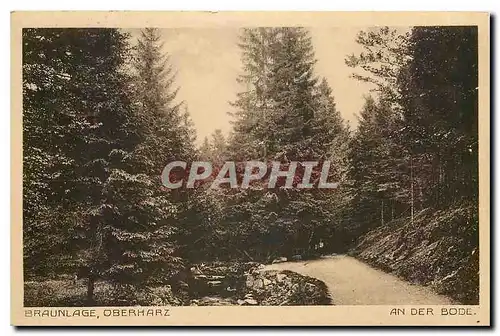 Cartes postales moderne Braunlage Oberharz an der Bode